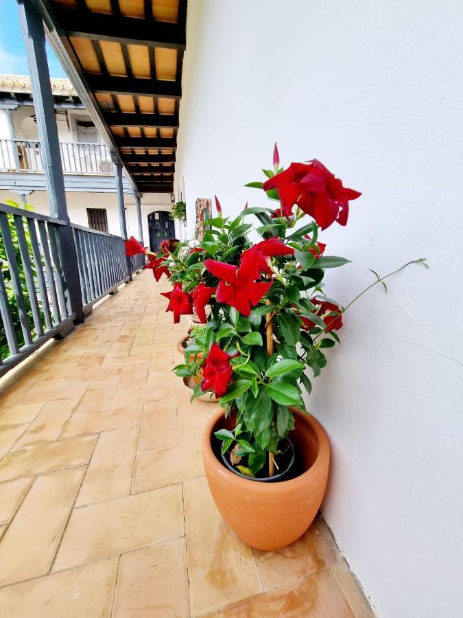 Apartamento Con Patio Sevillano Esterno foto